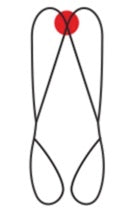BASIC - רתמת עבודה