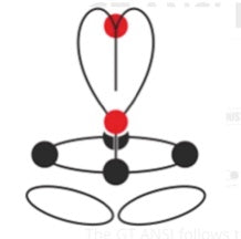 GT ANSI - רתמת עבודה