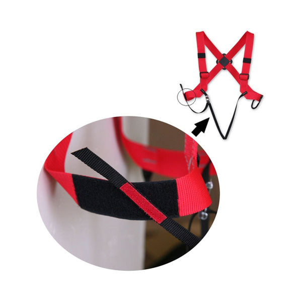 רתמת מערנות - BUNNY